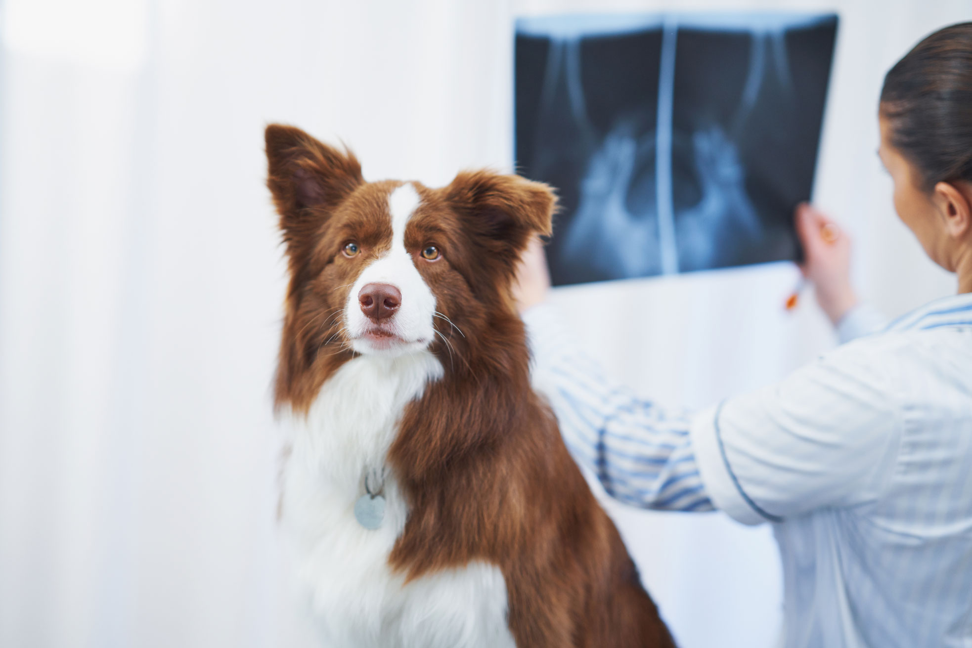 Advanced Diagnostics