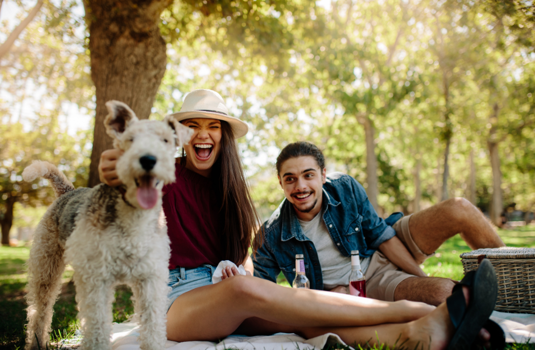 Summer Ready: Keeping Your Pet Safe, Cool, and Prepared This Season