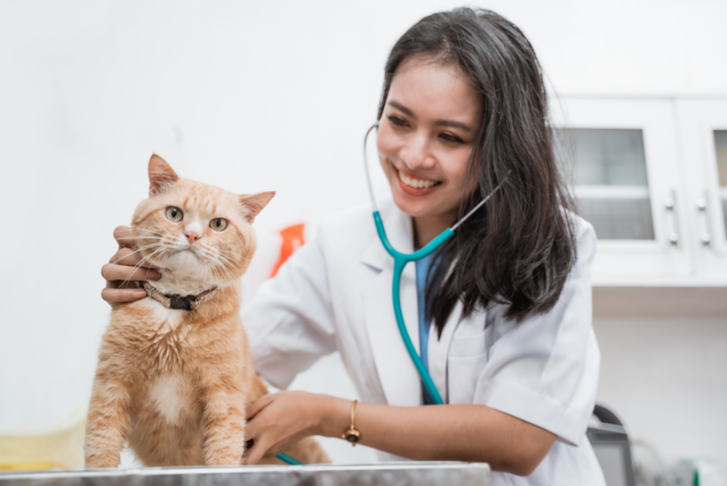 Lumps and Bumps: When to Worry and Why Early Testing Matters